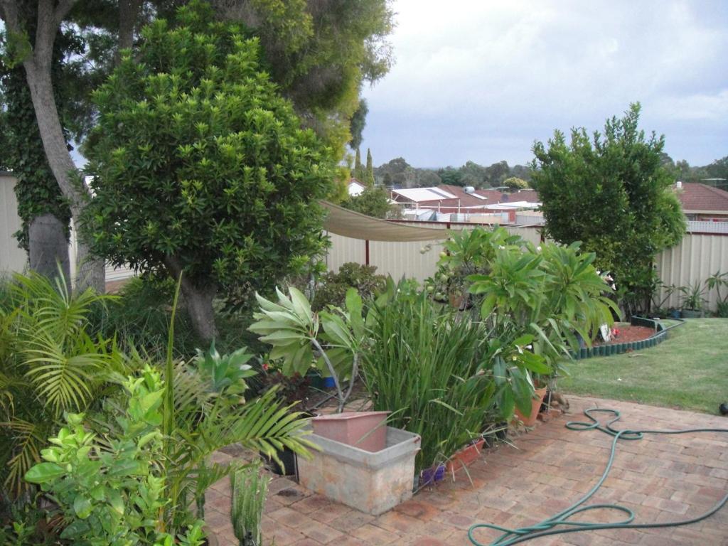 Armadale Cottage Bed & Breakfast Redcliffe Exterior foto