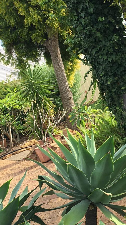 Armadale Cottage Bed & Breakfast Redcliffe Exterior foto